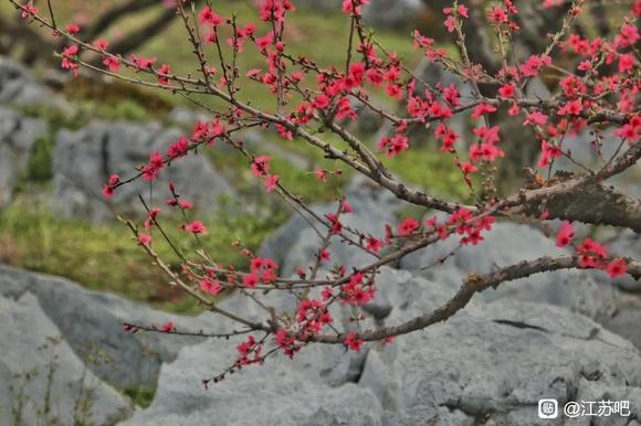 03-18Ѷ䴺ķ羰-2.jpg