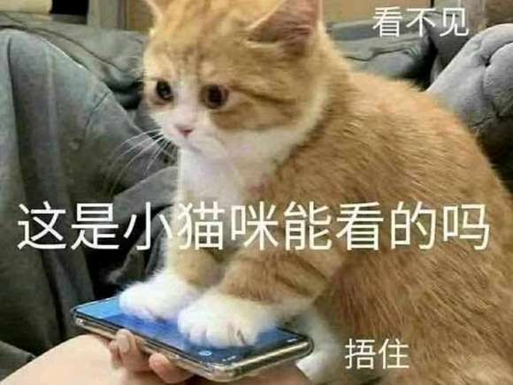 ͬչȺ,ǸоǺе㲻һ?ǲ-4.jpg