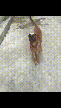!ҼĺСŮ-1.jpg