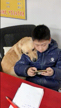 !ҼĺСŮ-1.jpg