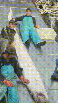 !ҼĺСŮ-1.jpg