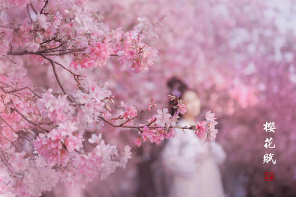 һ衿ϲ ϲĺ-9.jpg