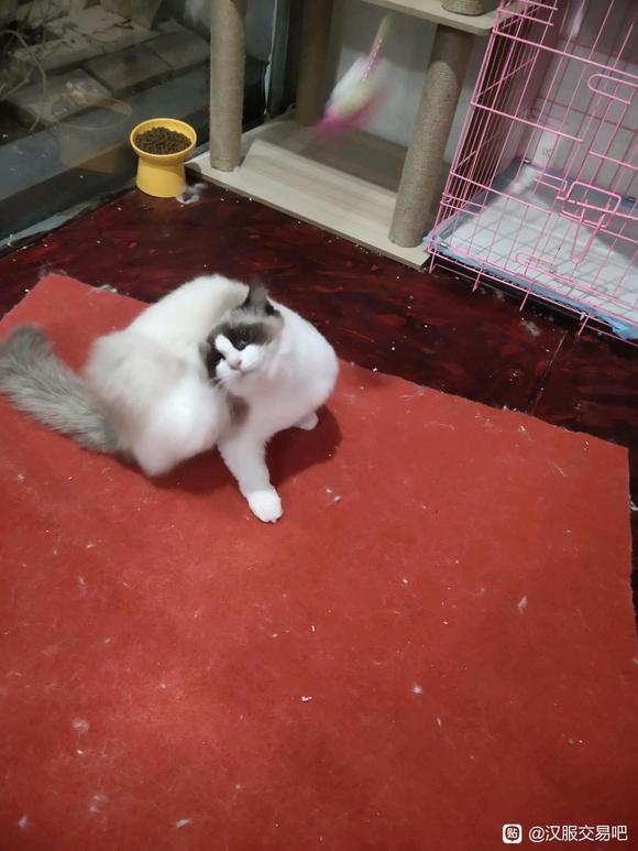 żè˿ͷ!-4.jpg