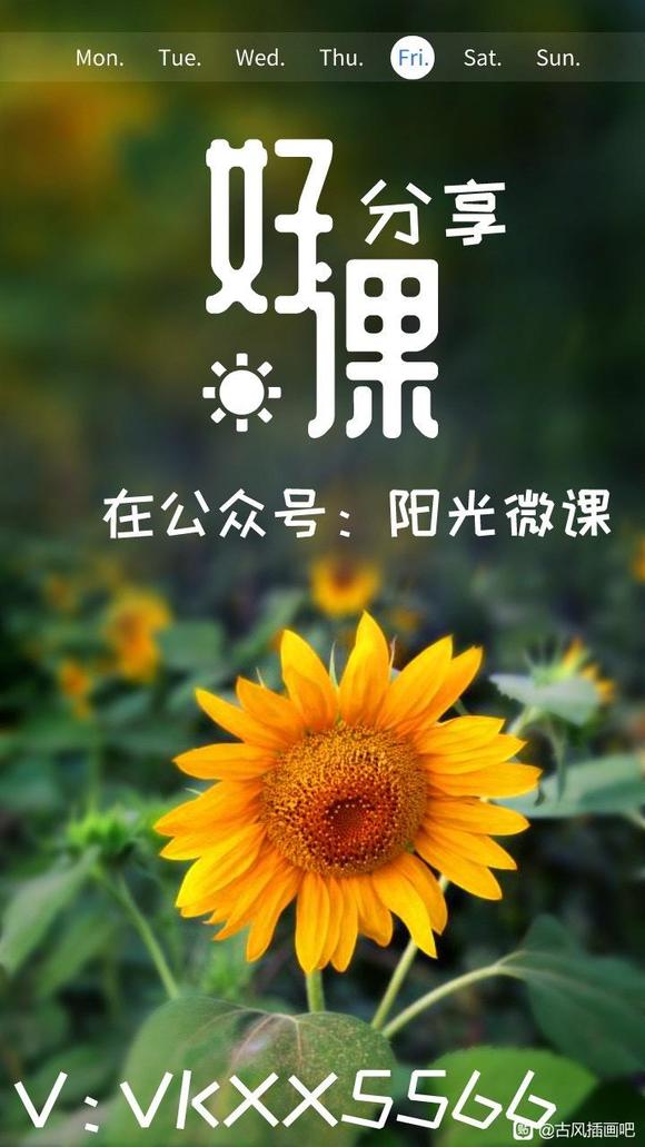 Ψŷдʵ廭߼Ƶ̳̰廭γ-2.jpg
