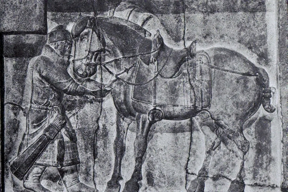 ʵʽܴĺ-1.jpg