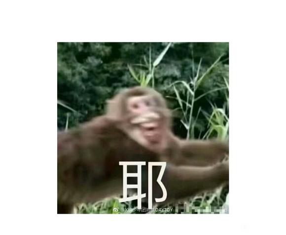 ûʯׯĺ֯-1.jpg