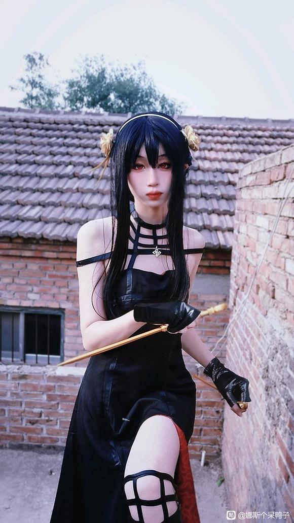 COSƬԼ-5.jpg