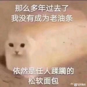 q廭вݸ-1.jpg