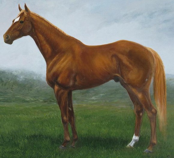 ֽ-1.jpg