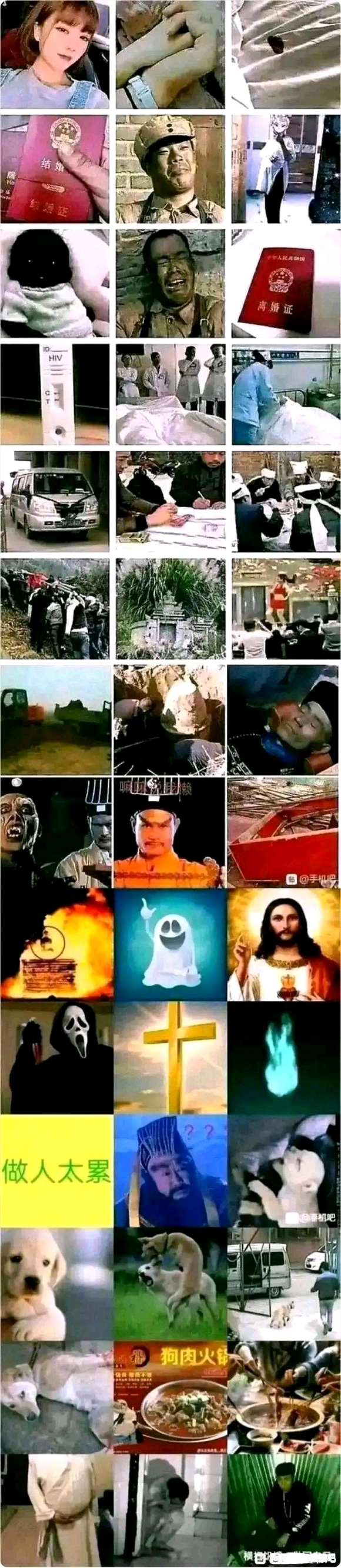 ϸ,չô?-4.jpg