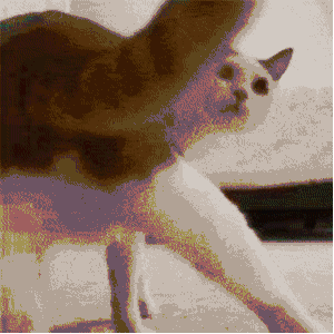 µһȥչҪעʲô-1.jpg