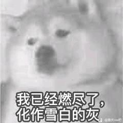 ʲôչѽ!-1.jpg