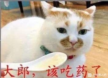 ɶչһԼ-1.jpg