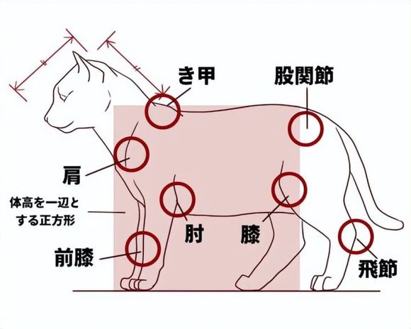 廭ô?Խͨ׽!-1.jpg
