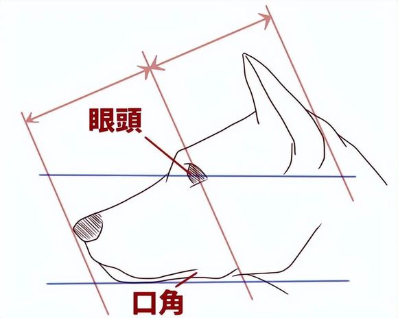廭ô?Խͨ׽!-2.jpg