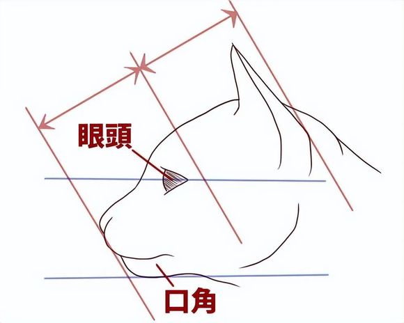 廭ô?Խͨ׽!-2.jpg