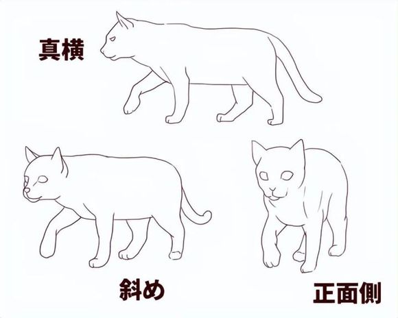 廭ô?Խͨ׽!-1.jpg