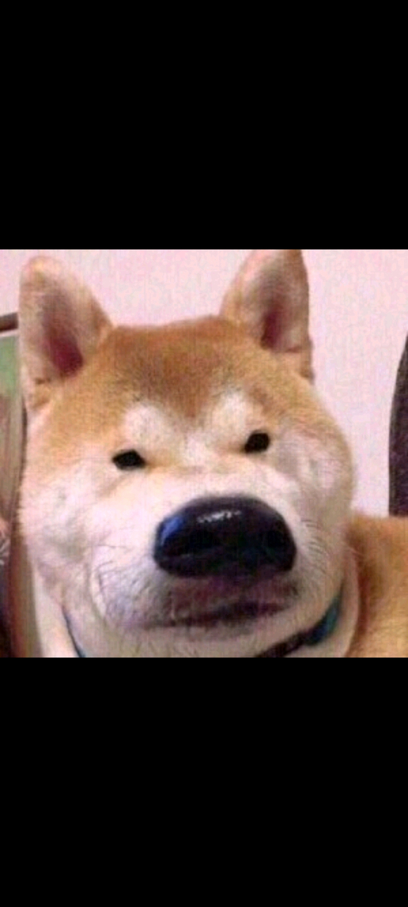 ࡭̥ѹcnm溺Ů-1.jpg