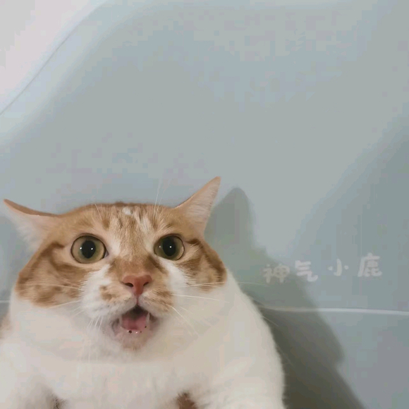 ӡһèͷȥչ-1.jpg