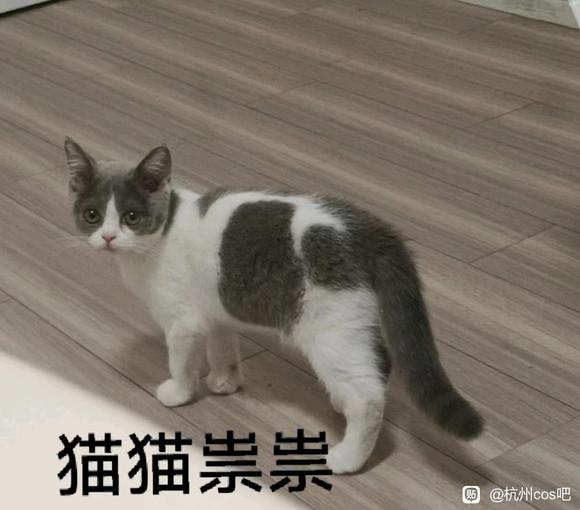 20220804/ҹc/Լչ-2.jpg