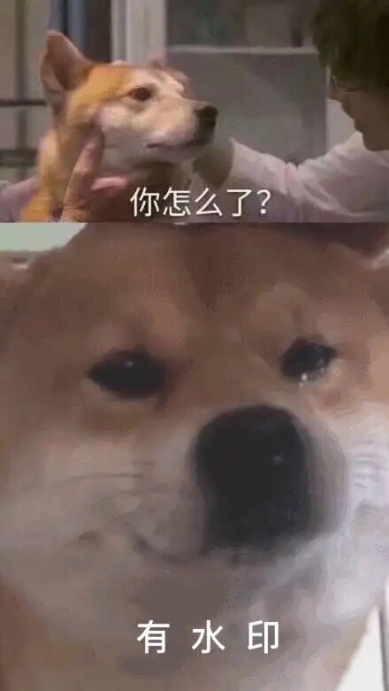 ֽÿ-1.jpg