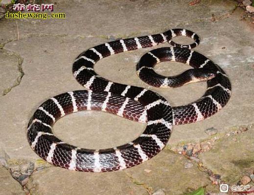 ÿͼƬ,Ϊֽ-2.jpg