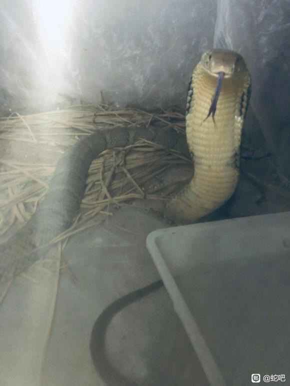 ÿͼƬ,Ϊֽ-2.jpg