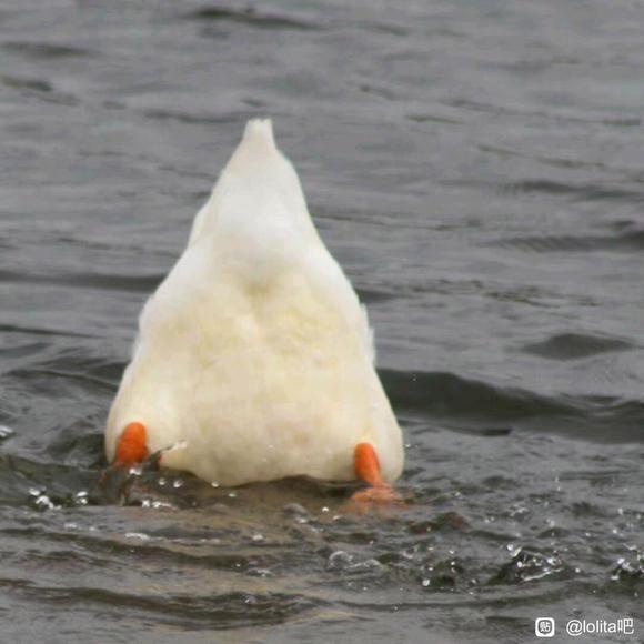 ,LoȦǲǶ̫ϲѽ-2.jpg