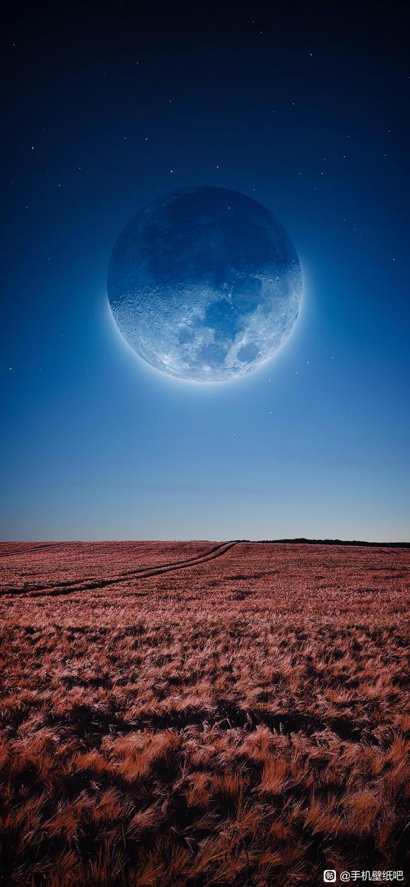 羰ֽ,ξеľɫ-6.jpg