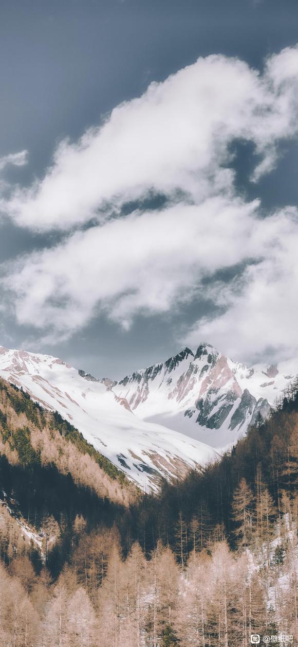 羰ֽ-2.jpg