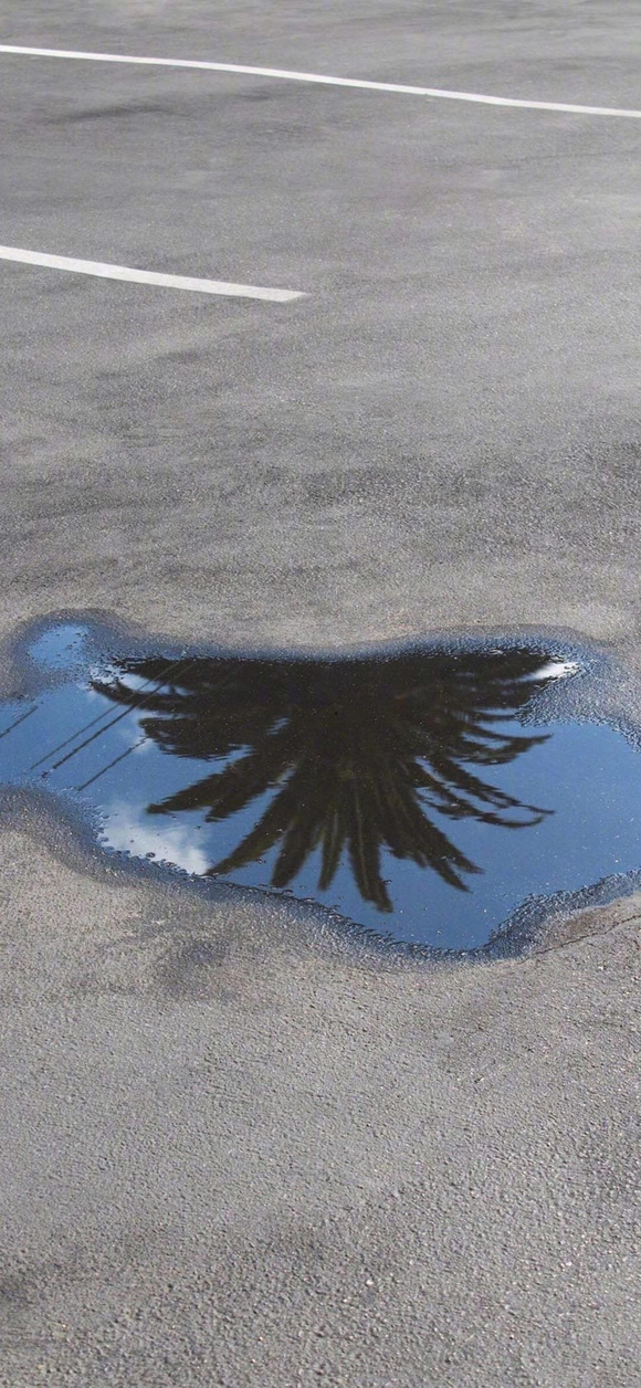 ֱֽ ڸ¶ÿ,˼Ҳ-1.jpg