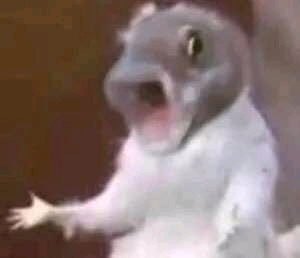 ʮǸ廭-1.jpg