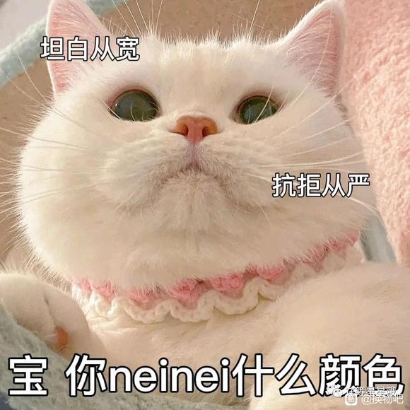 ɳɻlo/jk//ٷ/cos/Сֳ-1.jpg