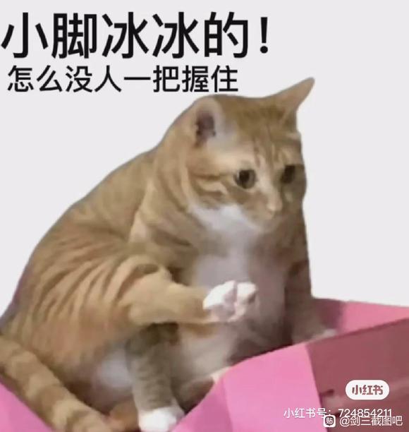 кھӺֽ-2.jpg