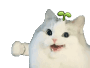 ׸ֽͷ-1.jpg