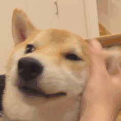ͬ˲廭-1.jpg