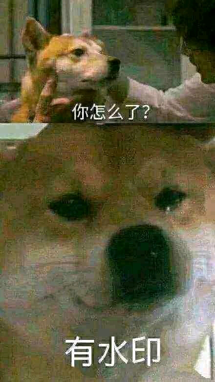 ûʺֽͼ-1.jpg