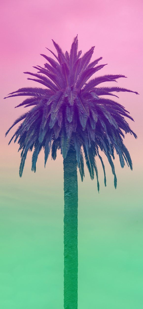 iPhone 14ֽ13ɫ-1.jpg