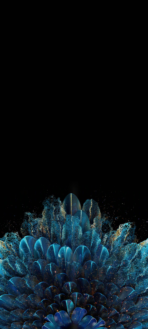 ֻֽ-5.jpg
