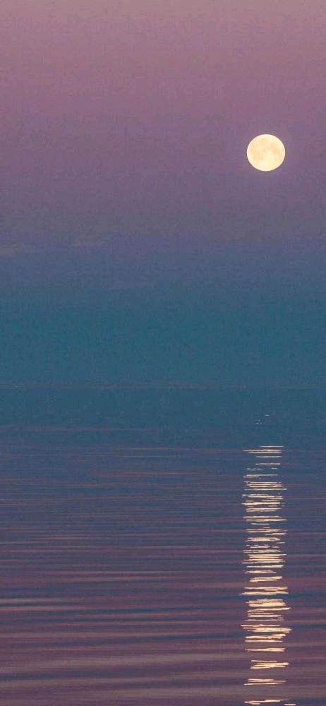 blueıֽ-6.jpg