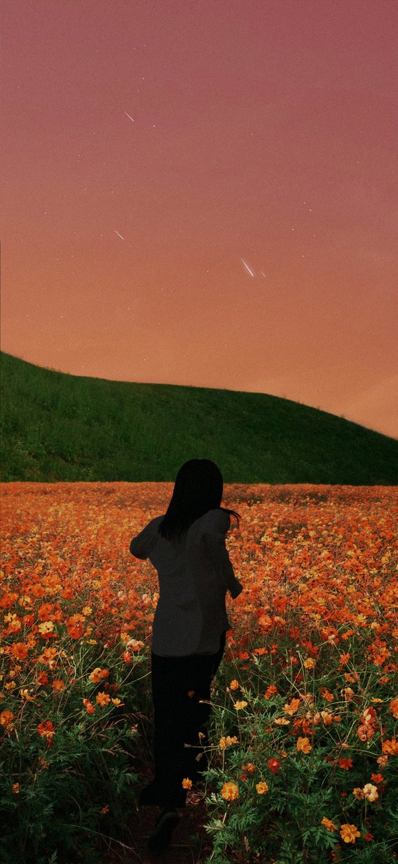 ûֽ LGıֽ濴-2.jpg