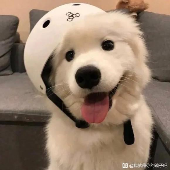 ͷ񡢱ֽ-5.jpg