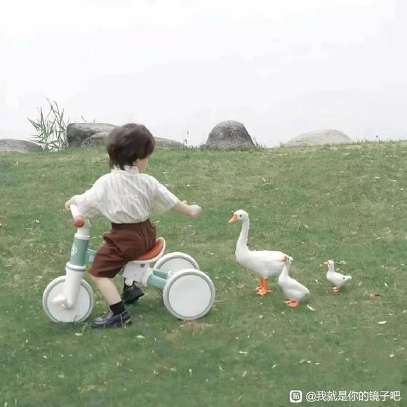 ͷ񡢱ֽ-1.jpg