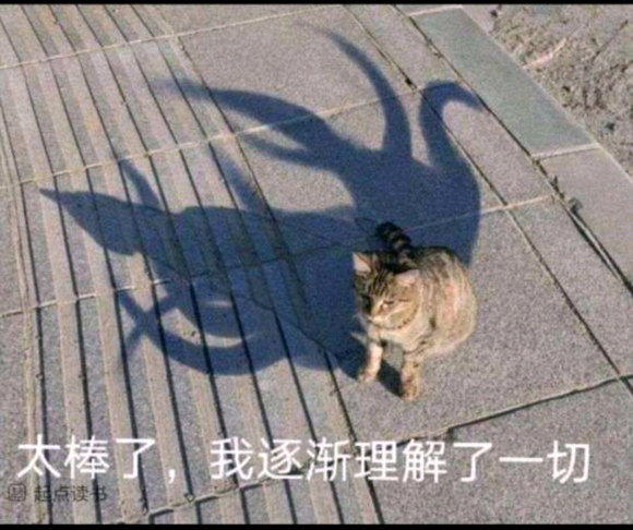 ѯ0824ʴҵoppoֻõʲôֽ?-2.jpg