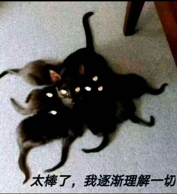 ҵK10õʲôֽ?-2.jpg
