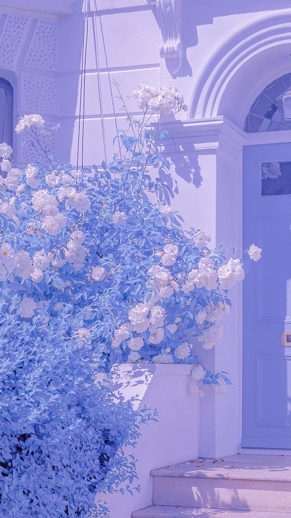 һЩֽ!-2.jpg