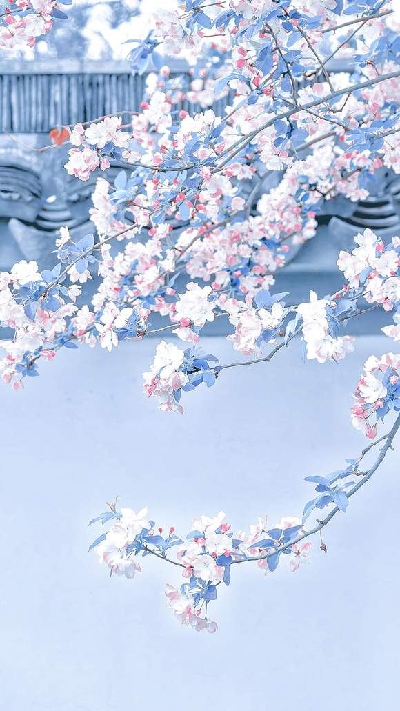 һЩֽ!-6.jpg
