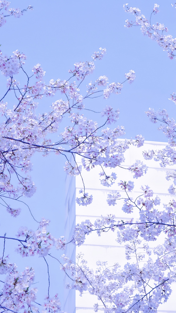 һЩֽ!-8.jpg