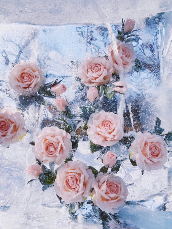 һЩֽ!-2.jpg