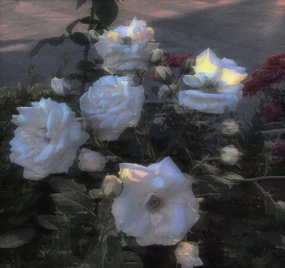 һЩֽ!-4.jpg